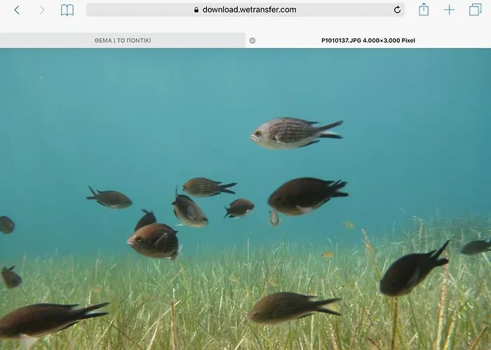 Grand Sea View Kallirákhi